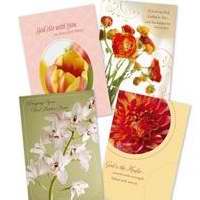 Card-Boxed-Get Well-Budding Hope (Box Of 12) (Pkg-12)
