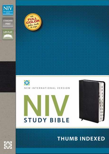 NIV Study Bible-Black Top Grain Leather Indexed