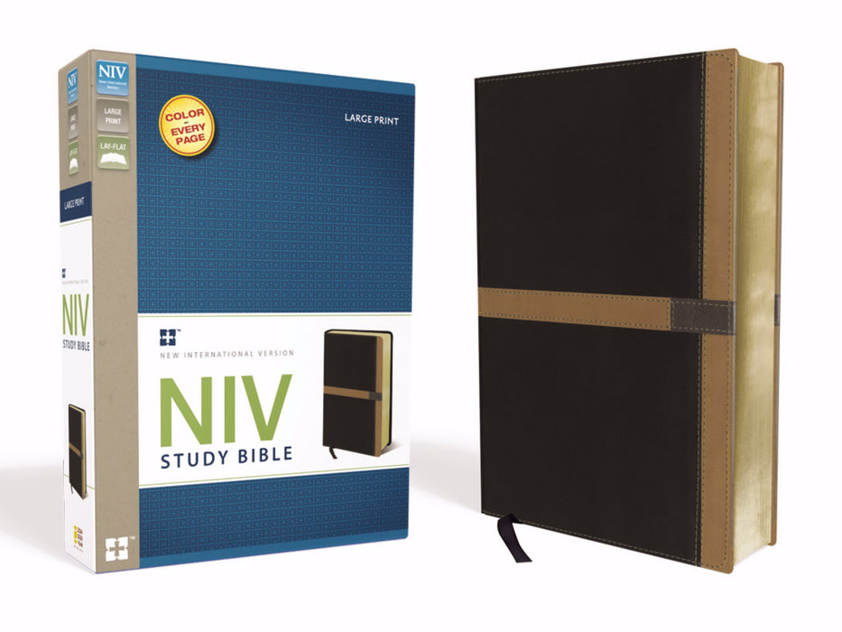NIV Study Bible/Large Print-Black/Caramel Duo-Tone