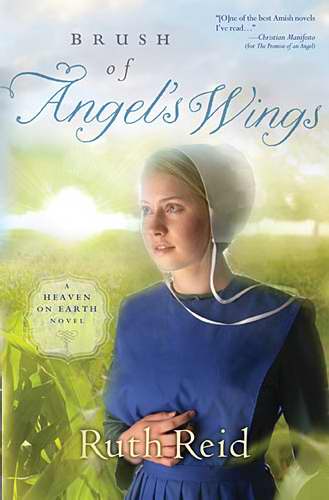 Brush Of Angel's Wings (Heaven On Earth Novel 2)
