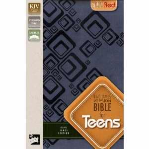 KJV Bible For Teens-Slate Blue DuoTone