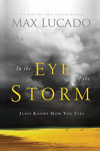 In The Eye Of The Storm (Repack)
