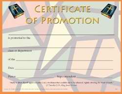 Certificate-Certificate Of Promotion (Full Size) (Pack Of 25) (Pkg-25)
