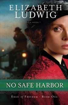 No Safe Harbor (Edge Of Freedom V1)