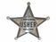 Badge-Usher-Pin Back (2" Silver Star)-Metal