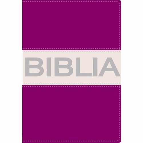 Span-NIV*Thinline Bible/Compact-Purple/Gray DuoTone