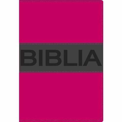 Span-NIV*Thinline Bible/Compact-Pink/Charcoal DuoTone