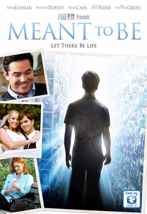 DVD-Meant To Be
