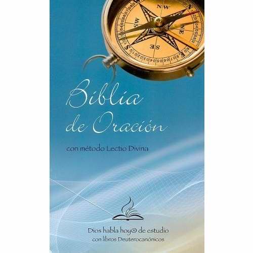 Span-DHH Dios Hablo Hoy Catholic Prayer Bible-Hardcover