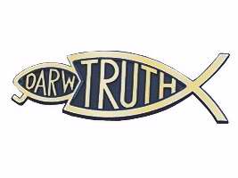 Auto Decal-3D Darw/Truth-Large (Gold) (Pack of 6) (Pkg-6)