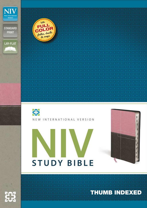 NIV Study Bible-Berry Cream/Chocolate Duo-Tone Indexed