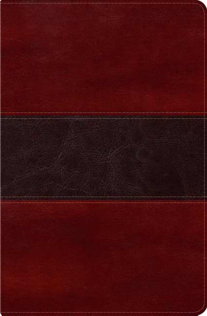 Span-RVR 1960 Fisher Of Men Bible-Mahogany LeatherTouch