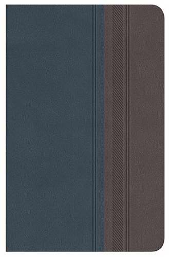 Span-RVR 1960 Special Edition Classic Bible-Blue/Grey LeatherSoft