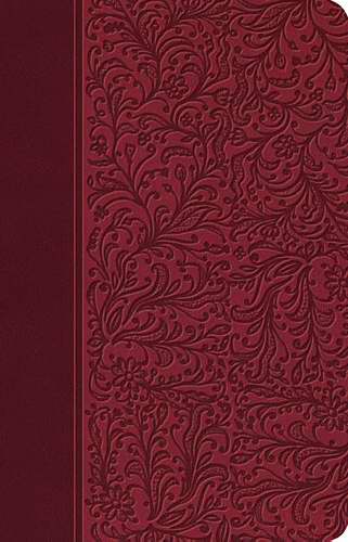 Span-RVR 1960 Special Edition Classic Bible-Cranberry/Tan LeatherSoft