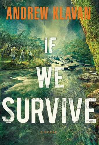 If We Survive: A Novel