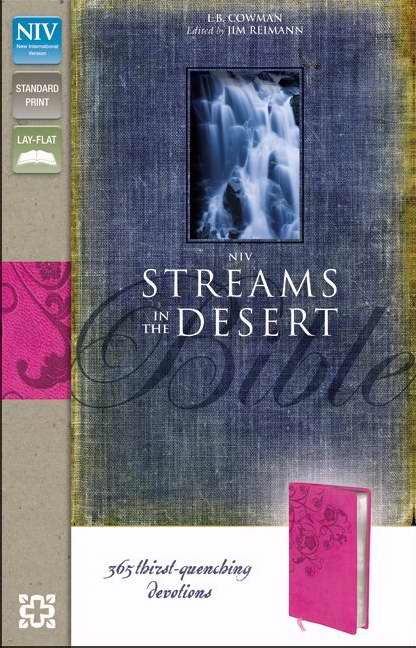 NIV Streams In The Desert Bible-Raspberry Duo-Tone