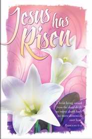 Bulletin-Jesus Has Risen! (Easter) (Pack Of 100) (Pkg-100)