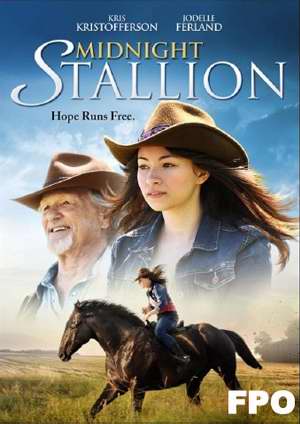 DVD-Midnight Stallion
