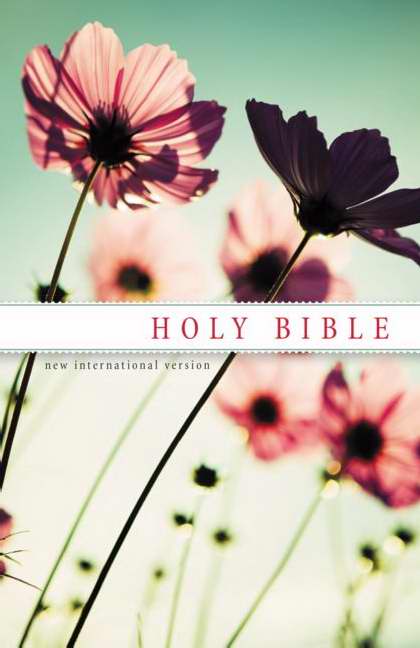 NIV Witness Edition Bible (Special)-Softcover
