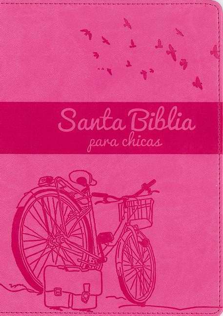 Span-NIV Bible For Girls-Orchid/Hot Pink DuoTone