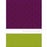 Span-NIV True Identity: Bible For Women-Purple/Green DuoTone