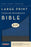 KJV Large Print Thinline Reference Bible-Slate/Blue Flexisoft