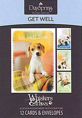Get Well-Whiskers & Paws Boxed Cards