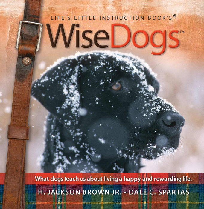 Wise Dogs (Life's Little Instruction Books)
