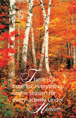 Bulletin-There Is A Time For Everything, And A Season For Every Activity Under The Heavens (Ecclesiastes 3:1) (Pack Of 1 (Pkg-100)