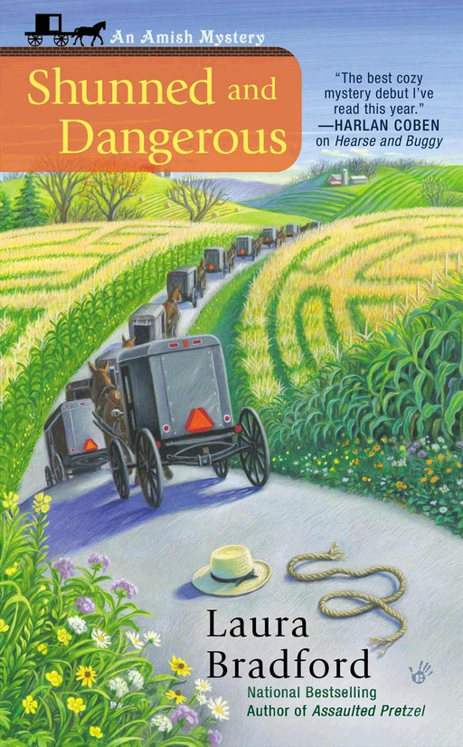 Shunned And Dangerous (An Amish Mystery V2)