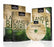 DVD-Lands Of The Bible: Beersheba Nazareth & Capernaum