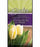 Offering Envelope-Easter Miracle (Easter) (Pack Of 100) (Pkg-100)