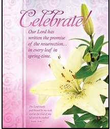 Bulletin-Celebrate! (Easter)-Legal Size (Pack Of 100) (Pkg-100)