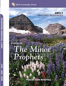 Accent/Scripture Press Spring 2019: Adult Bible Knowledge Series (KJV) Teaching Resources (#4081,7081)