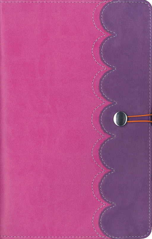 NIrV Adventure Bible For Early Readers (Full Color)-Amethyst/Pink DuoTone