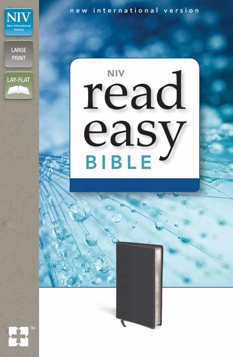 NIV ReadEasy Bible-Storm Cloud Gray Duo-Tone