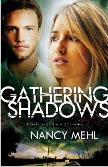 Gathering Shadows (Finding Sanctuary V1)