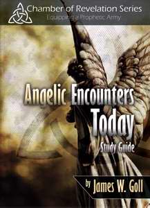 Angelic Encounters Today Study Guide