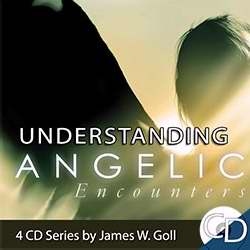 Audio CD-Understanding Angelic Encounters (4 CD)