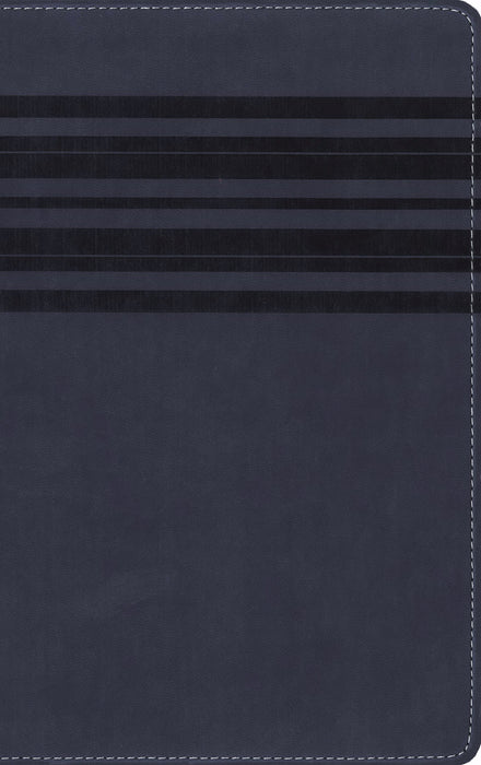 NIrV Large Print Holy Bible-Slate Blue DuoTone