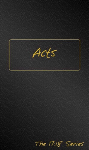 Acts: Journible (The 17:18 Series)