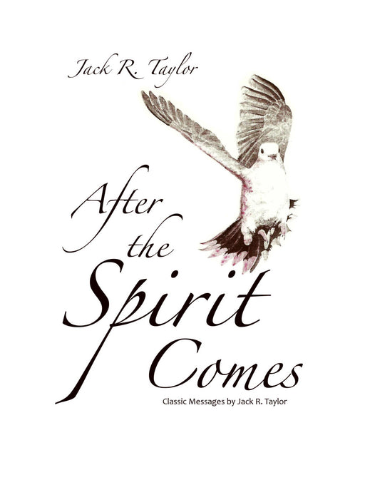 After The Spirit Comes