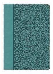 Span-NIV*Holy Bible Gift Edition-Turquoise DuoTone