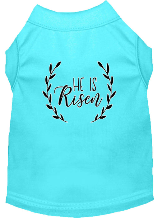 He Is Risen Screen Print Dog Shirt Aqua Lg (14)