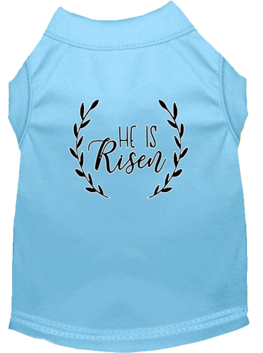 He Is Risen Screen Print Dog Shirt Baby Blue XXXL (20)