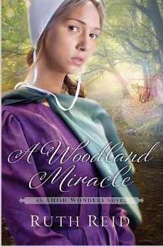 Woodland Miracle (Amish Wonders Novel 2)