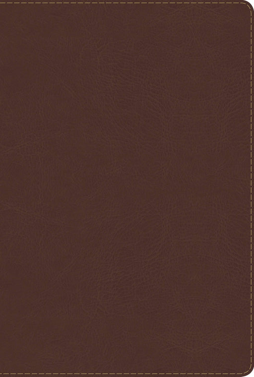 Span-RVR 1960 Rainbow Study Bible (Full Color)-Brown LeatherTouch
