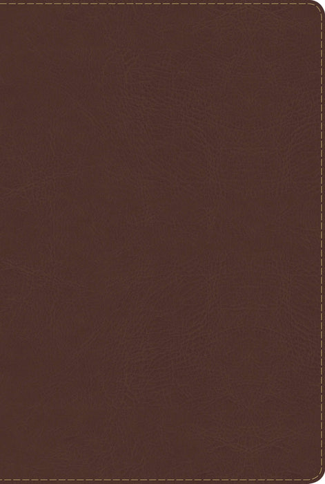 Span-RVR 1960 Rainbow Study Bible (Full Color)-Brown LeatherTouch