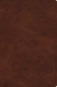 ESV Verse-By-Verse Reference Bible-Deep Brown TruTone