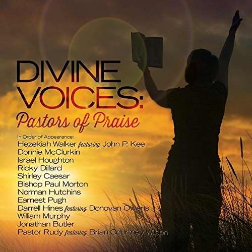Audio CD-Divine Voices: Pastors Of Praise